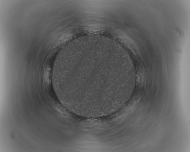 X0000114521346200911091142