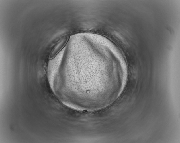 X0000114521349200911091142