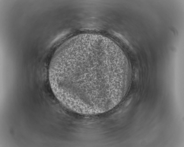 X0000114521350200911091142