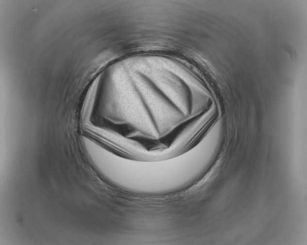 X0000114521353200911091142