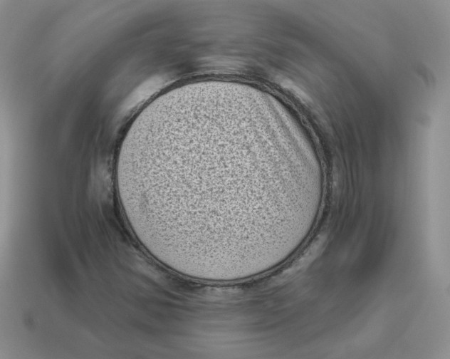 X0000114521354200911091142