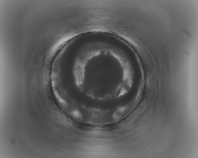 X0000114521359200911091142