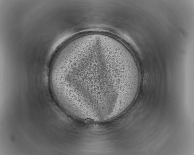 X0000114521360200911091142