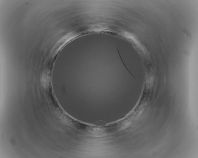 X0000114521361200911091142