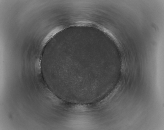 X0000114521362200911091142