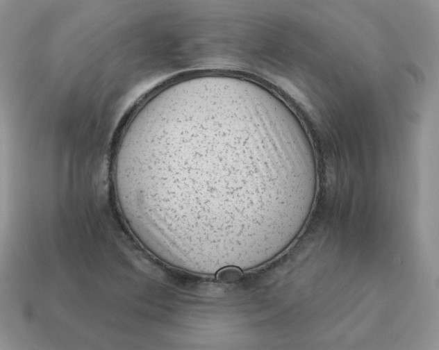 X0000114521364200911091142