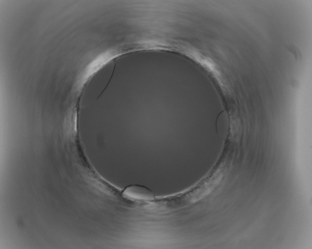 X0000114521365200911091142