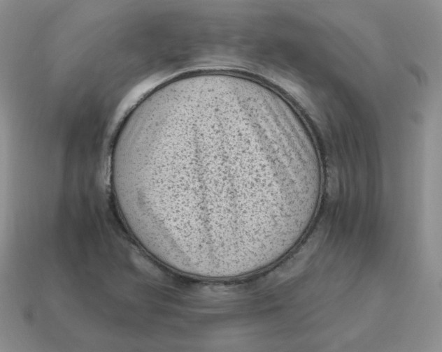 X0000114521366200911091142