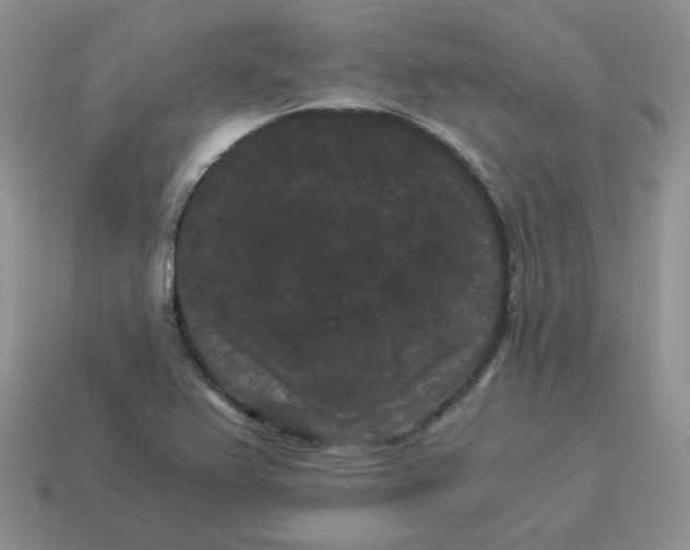 X0000114521367200911091142