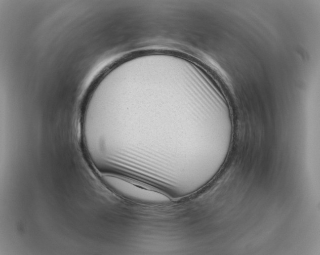 X0000114521368200911091142