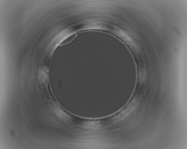 X0000114521369200911091142