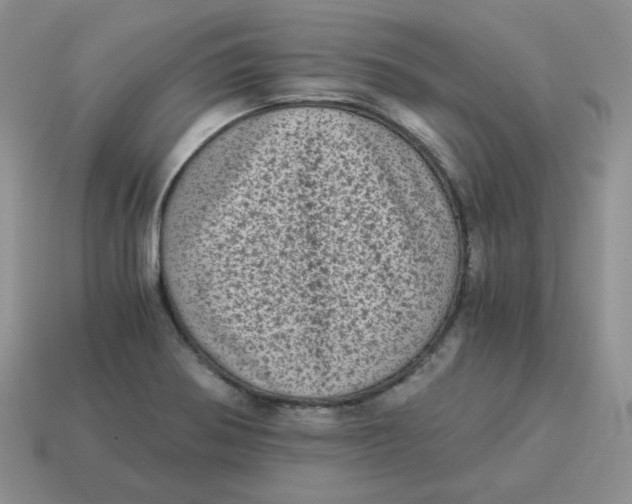 X0000114521370200911091141