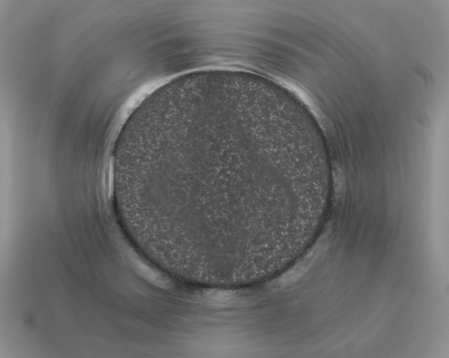 X0000114521371200911091141