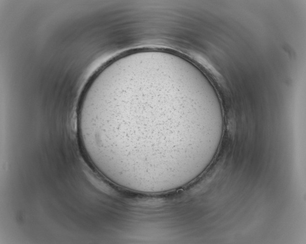 X0000114521372200911091141