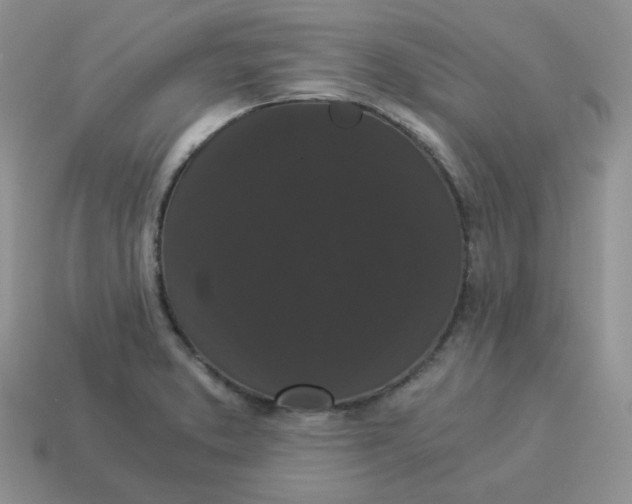 X0000114521373200911091141