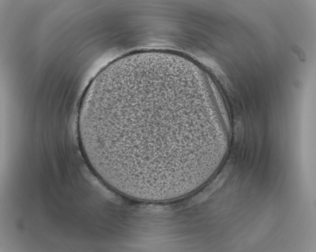 X0000114521374200911091141