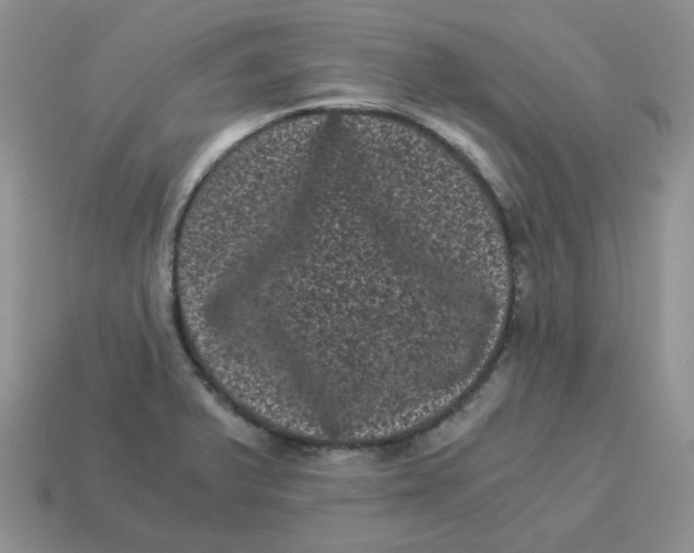 X0000114521375200911091141