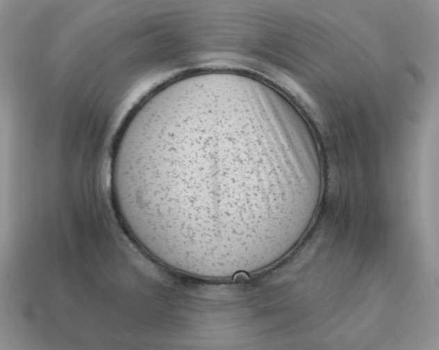 X0000114521376200911091141