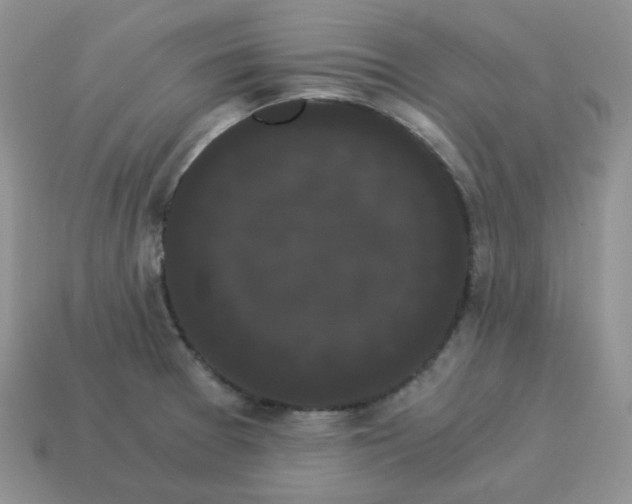 X0000114521377200911091141