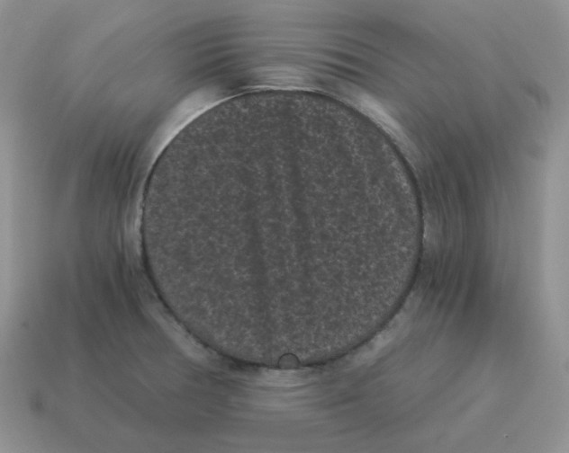 X0000114521378200911091141