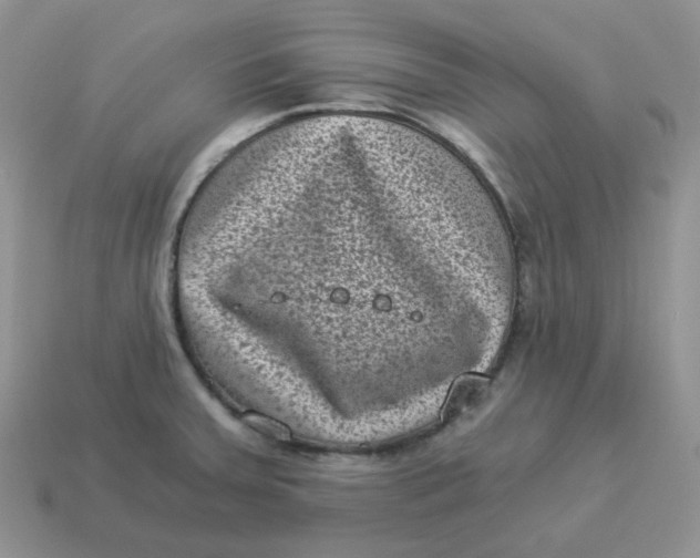 X0000114521379200911091141