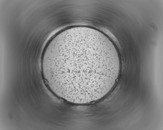 X0000114521380200911091141