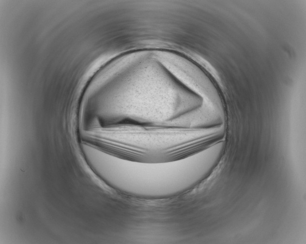 X0000114521381200911091141