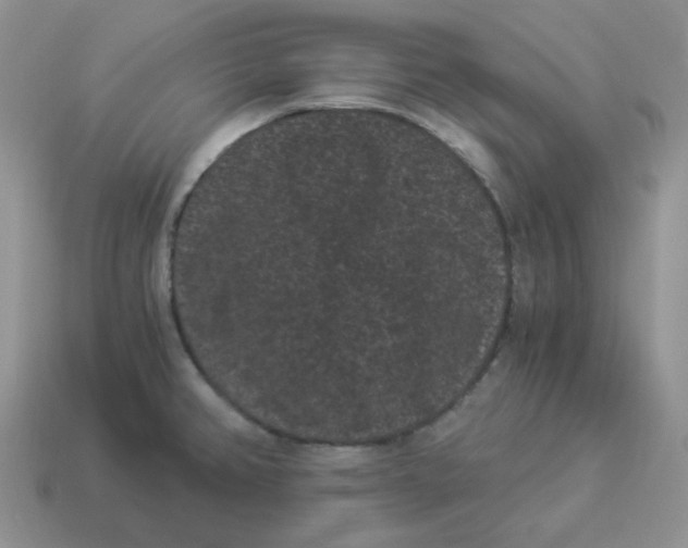 X0000114521382200911091141