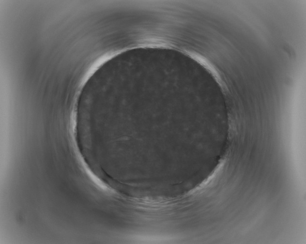 X0000114521383200911091141