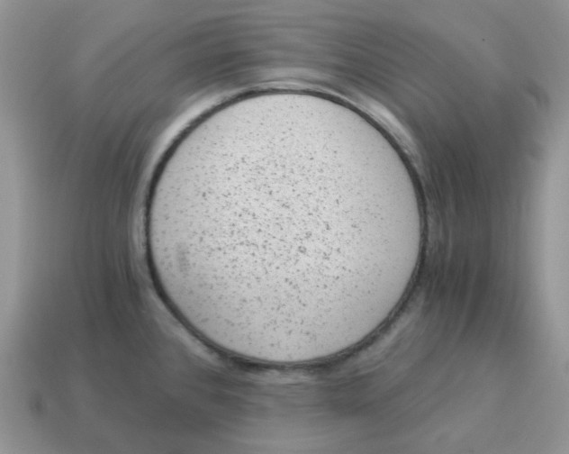 X0000114521384200911091141