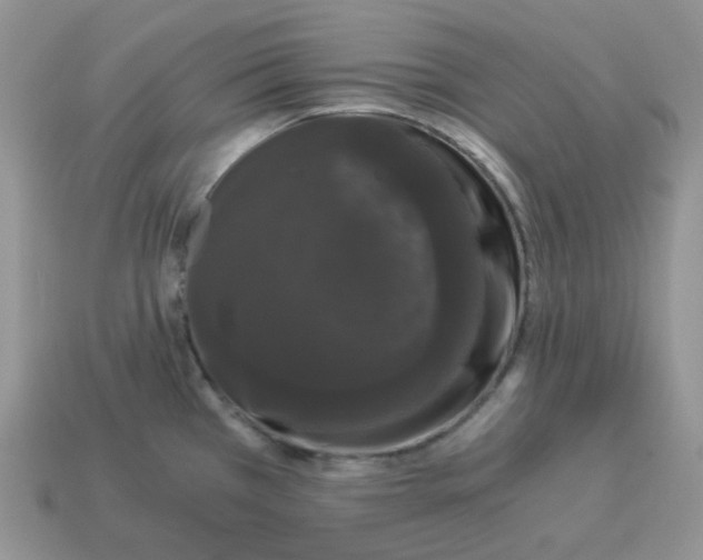 X0000114521385200911091141