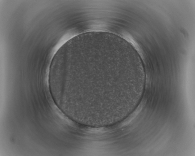 X0000114521386200911091141