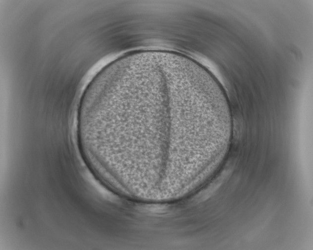 X0000114521387200911091141