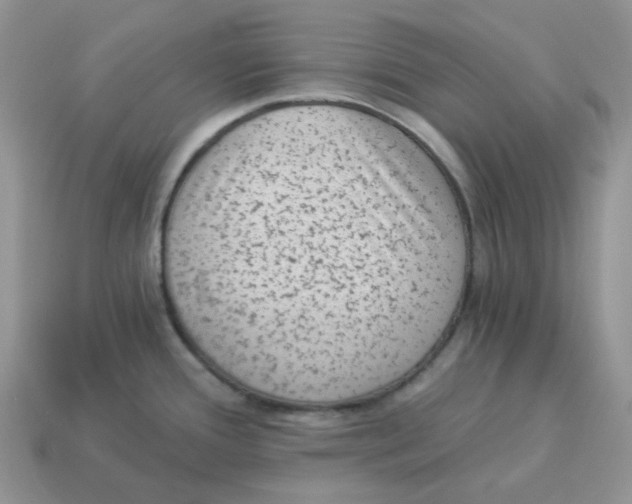 X0000114521388200911091141