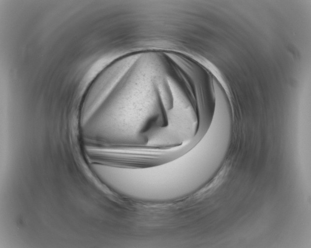 X0000114521389200911091141