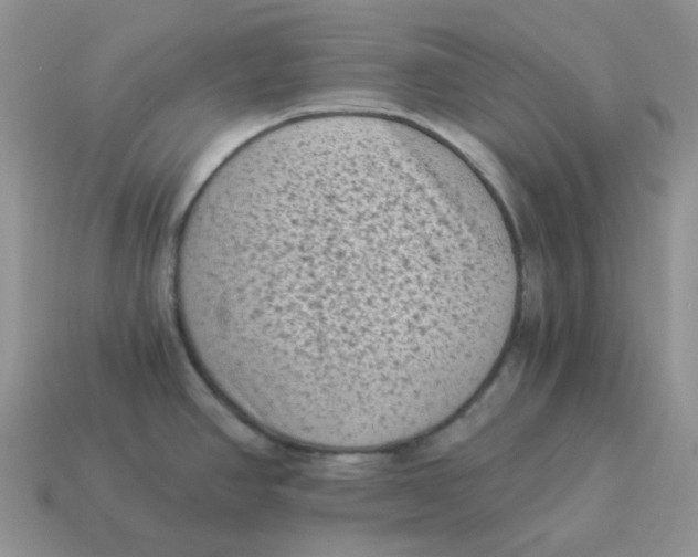 X0000114521390200911091141