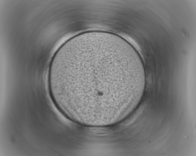 X0000114521391200911091141