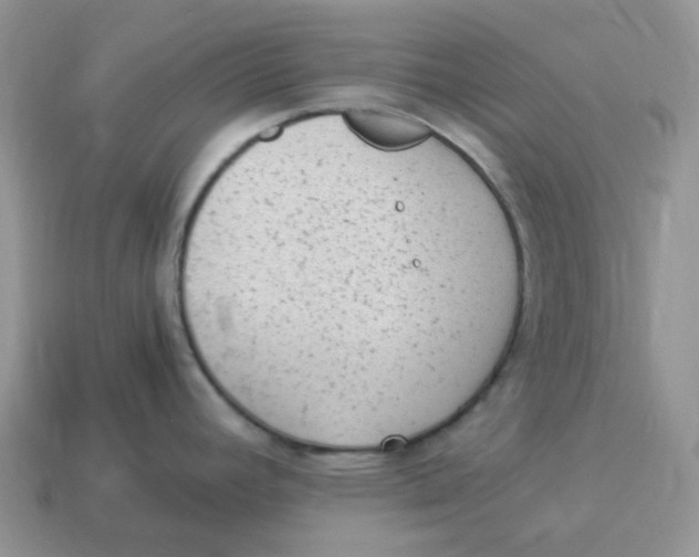 X0000114521392200911091141