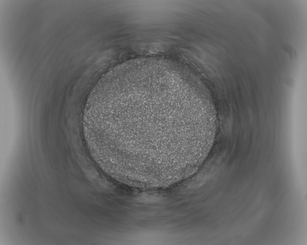 X0000114521393200911091141