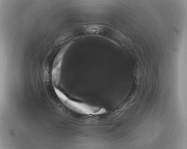 X0000114521394200911091141