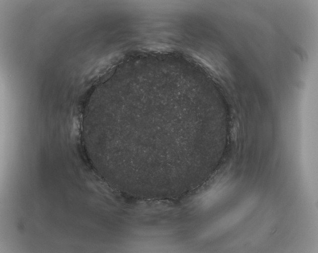 X0000114521397200911091141