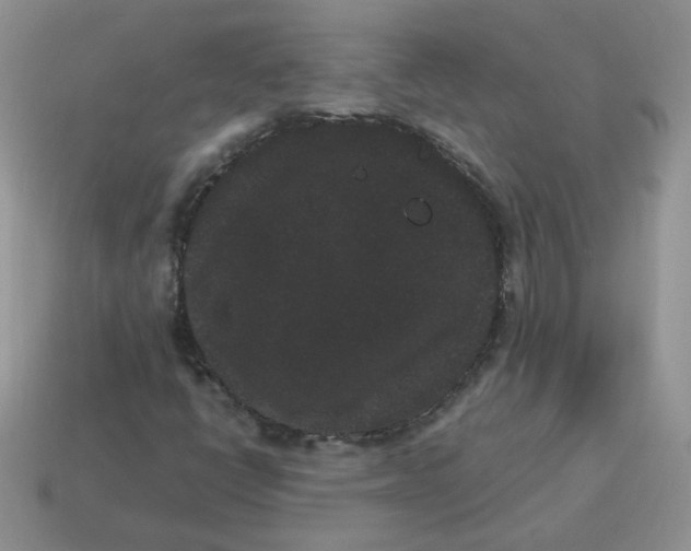 X0000114521398200911091141