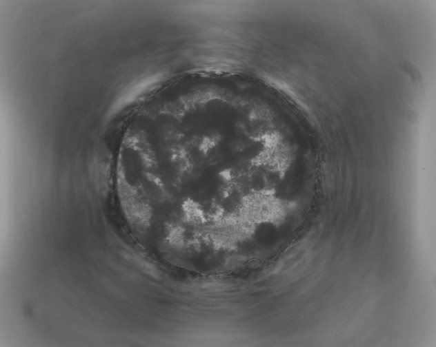 X0000114521399200911091141