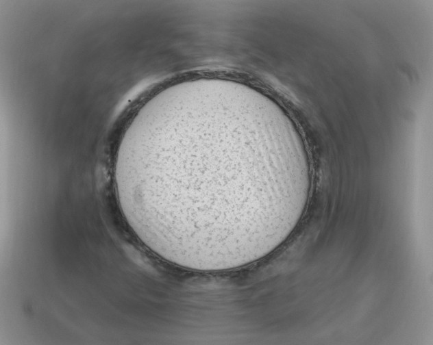 X0000114521400200911091141