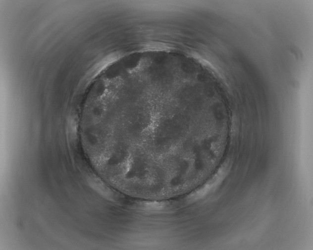 X0000114521401200911091141