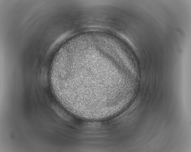 X0000114521403200911091141