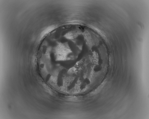 X0000114521405200911091141