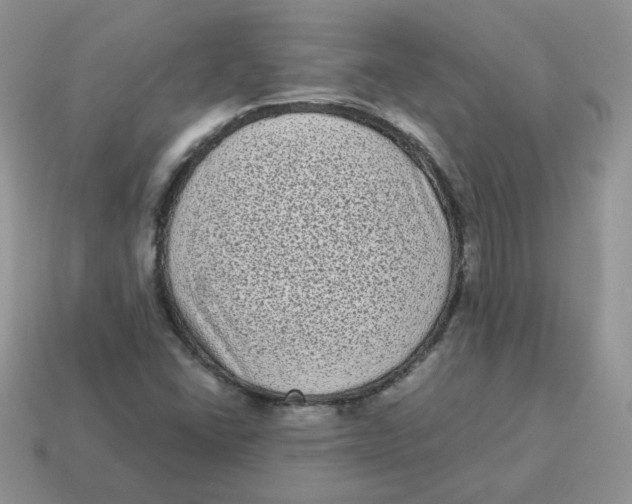 X0000114521406200911091141