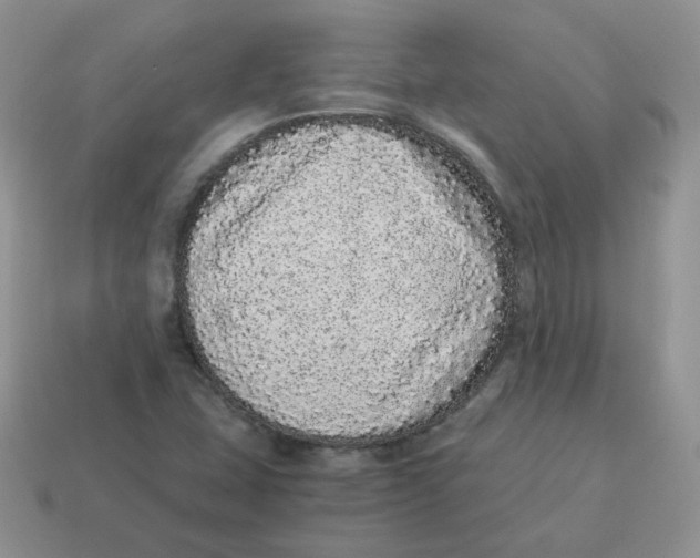 X0000114521407200911091141