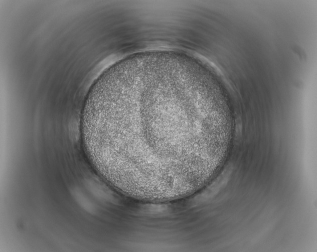 X0000114521409200911091141